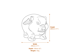 Thai Pig Stone Statue Dimensions Diagram