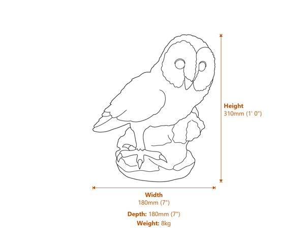 Tawny Owl Statue Dimensions Diagram