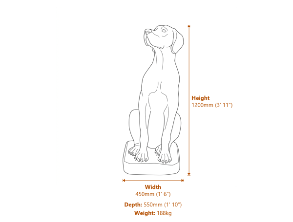 Female Great Dane Statue Dimensions Diagram
