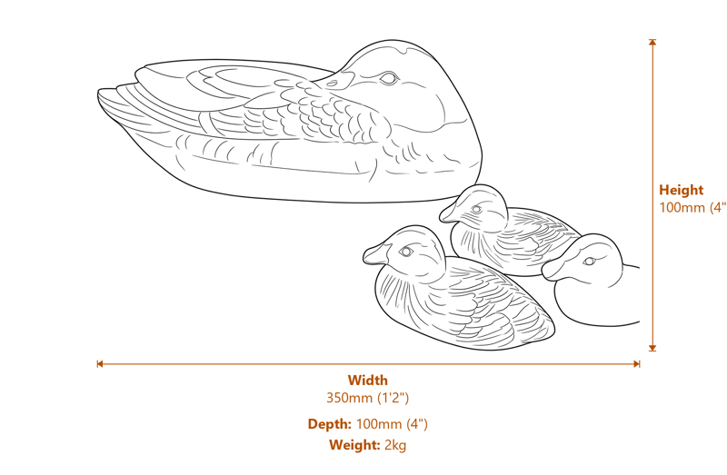 Duck Garden Statues Dimensions Diagram