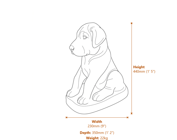 Great Dane Puppy Garden Statue Dimensions Diagram
