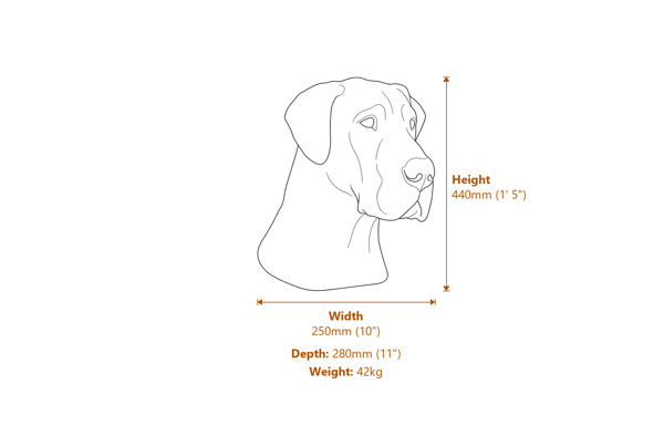 Great Dane Stone Head Dimensions Diagram