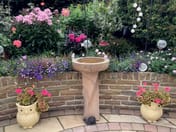 Twisted Column Rainbow Bird Bath