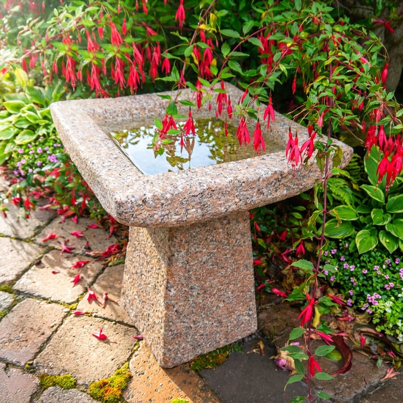 Square pink granite stone bird bath in a small UK garden setting buying guide