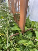 Fern Steel Decorative Garden Privacy Screen