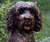 Cockapoo Garden Statue in Bronze