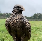 Eagle Garden Statue in Bronze Front View