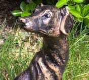 Greyhound Garden Statue in Bronze