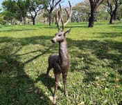 Large Standing Stag Garden Ornament in Bronze Original