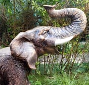 Roaring Elephant Garden Statue in Bronze