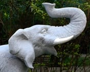 Roaring Elephant Garden Statue in Granite