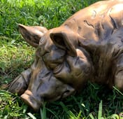 Sleeping Pig Garden Statue in Bronze