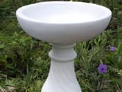 Georgian Stone Bird Bath in White
