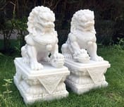 Large Temple Dog Garden Ornaments in White - Original