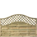 Additional Matching Fence Panel