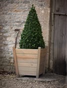 Churchill Large Spruce Garden Planter