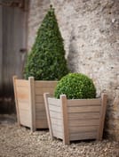 Churchill Large Spruce Planter Set