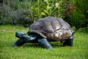 Large Tortoise Metal Garden Ornament - original product photo