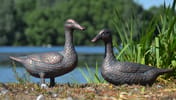 Set of Ducks Metal Garden Ornament original product photo