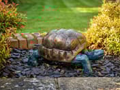 Small Tortoise Metal Garden Ornament in garden setting with slate chippings and plants
