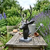 Stags Head On Marble Base Ornament in English cottage garden setting
