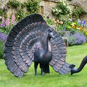 Strutting Peacock Metal Garden Ornament in English Cottage Garden Setting