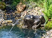 Toad Fountain Metal Garden Ornament in a Natural Pond Setting