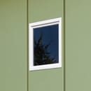 Shed Window