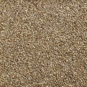 Autumn Gold Gravel Dry Close Up