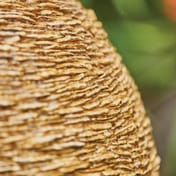 Glowing Sun Water Feature Detail