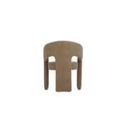 alba mole velvet dining chair back