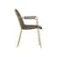 carlo taupe gold dining chair with arms side