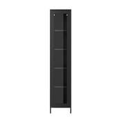 frank black display cabinet front