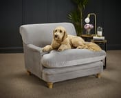 plumpton grey velvet armchair room shot