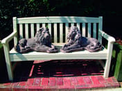 Chatsworth Lion Statues (Pair) in cast stone