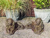 Chatsworth Lions in Umber