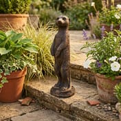 Stone Meerkat Statue in Burnt Umber on Garden Patio