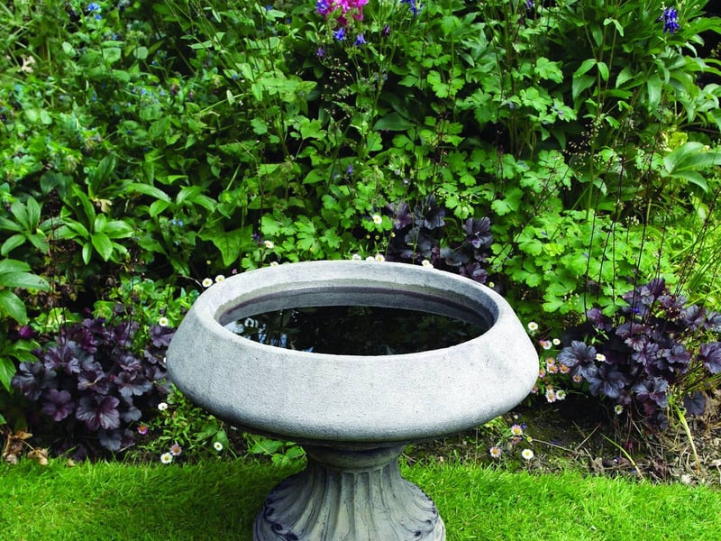 Edwardian Stone Birdbath in cottage garden with smooth bowl ideal for British garden birds