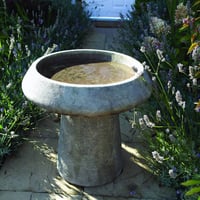 Stone birdbath in a UK garden setting