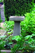Simple Stone Birdbath