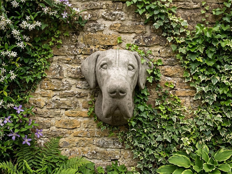 Great Dane Wall Bust mounted on a stone garden wall in heraldic style