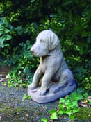 Great Dane Puppy Garden Statue in cast stone
