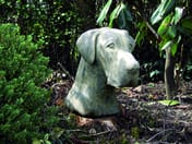 Great Dane Stone Head in cast stone