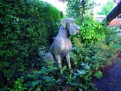 Male Great Dane Statue
