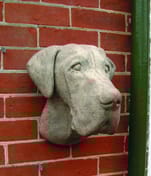 Great Dane Wall Bust original product photo