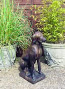 Pointer Statue in Umber