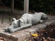 Resting Whippet in Stone Statue