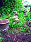 Heraldic Dragon Garden Statue in cast stone