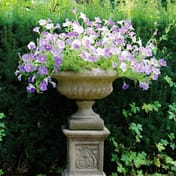 Emblem Stone Garden Pedestal in Aged Cotswold Finish with Decorative Motif