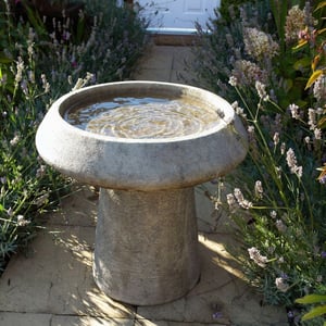 Pure Stone Birdbath in garden setting
